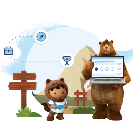 Salesforce Admin Course for Beginners